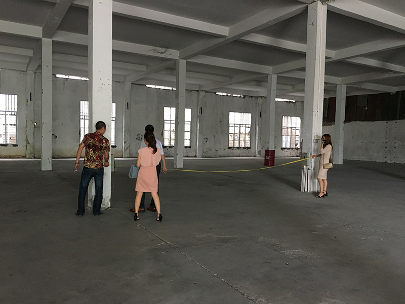 IMG_0585(800).jpg IMG_0585(800).jpg