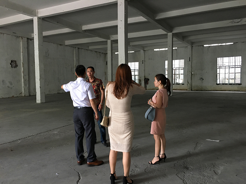 IMG_0582(800).jpg IMG_0582(800).jpg