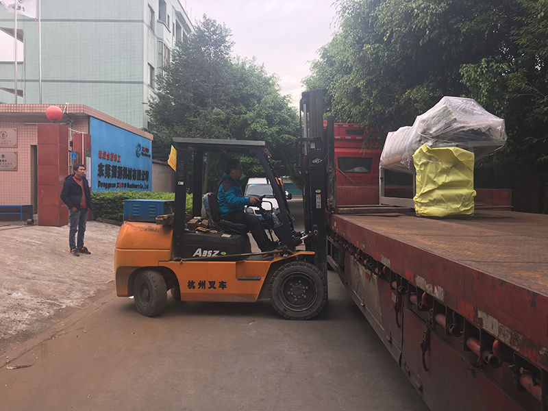 IMG_2122(800).jpg IMG_2122(800).jpg