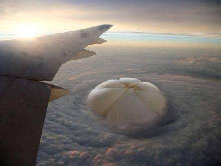 圖片1.png 圖片1.png